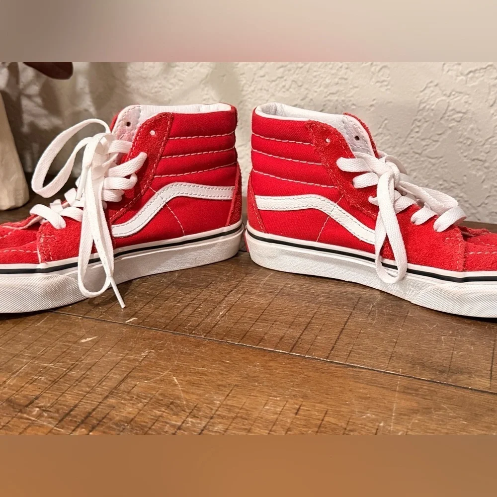Sk8-Hi Shoe Lifestyle, Original Icon, Suede, Canvas size 1